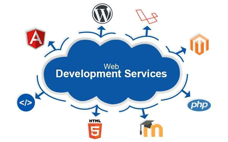 Best Website Development Service in Pitampura